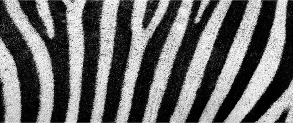 Tablou cu piele de zebră (120x50 cm)