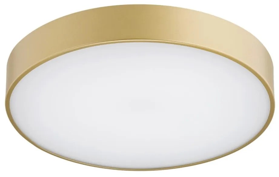 Plafoniera LED design modern Tiamo auriu