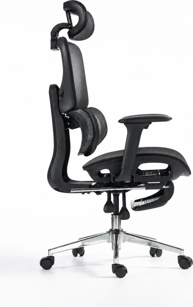 ErgoVanta Mesh — Scaun ergonomic, Suport lombar reglabil, Tetieră 2D, Cotiere reglabile, Mecanism cu blocare, Suport pentru picioare retractabil, Mesh, Negru
