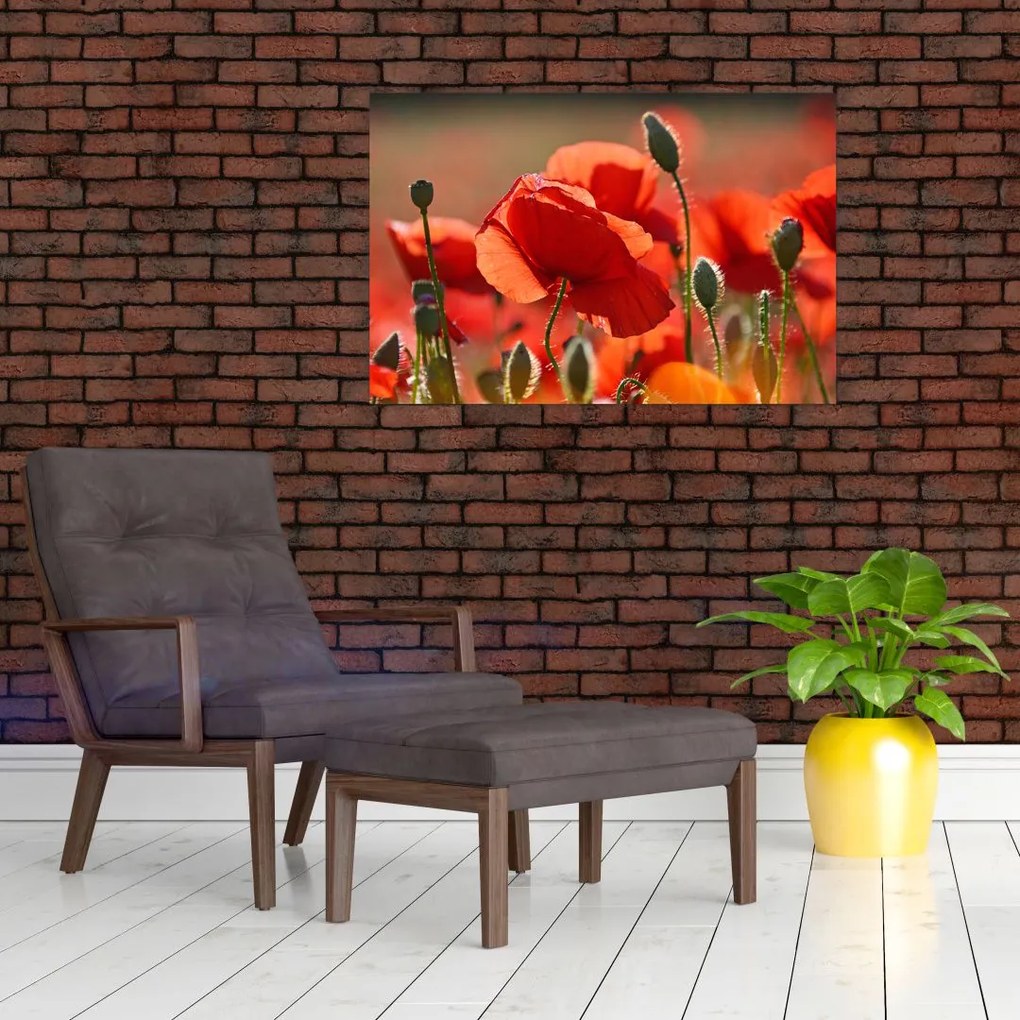 Tablou cu flori de maci (90x60 cm)