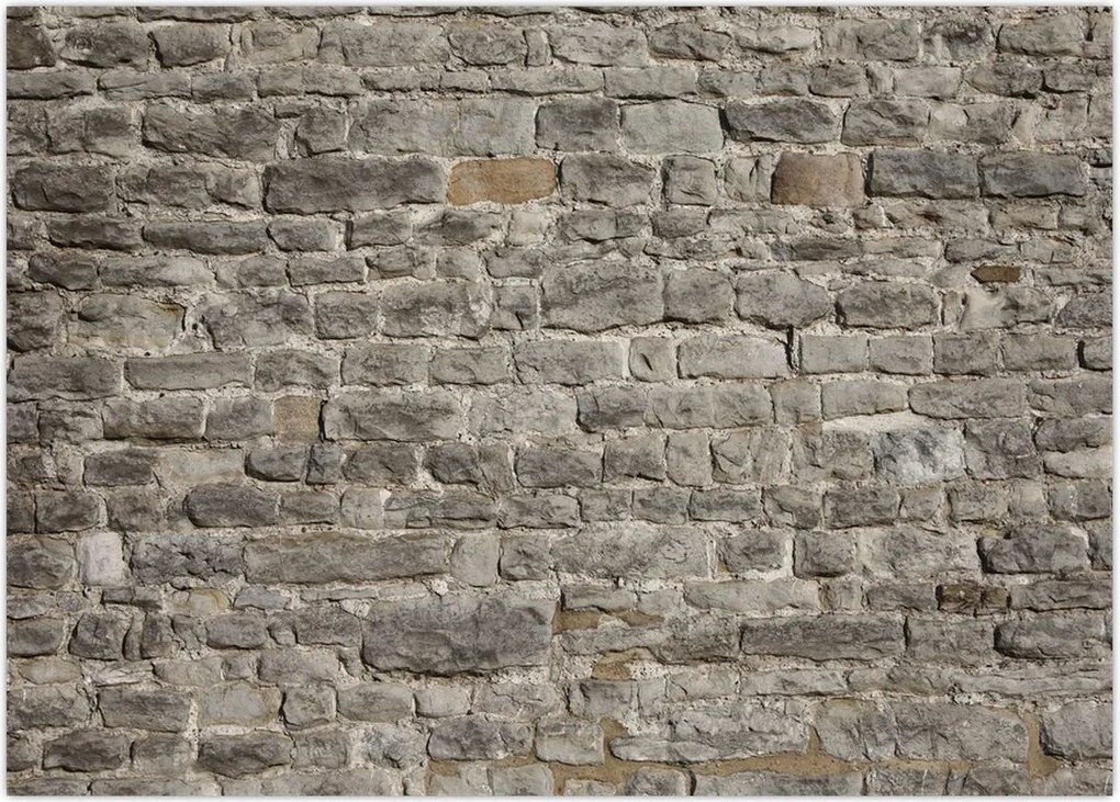 Tablou - Perete d cărămidă (70x50 cm)