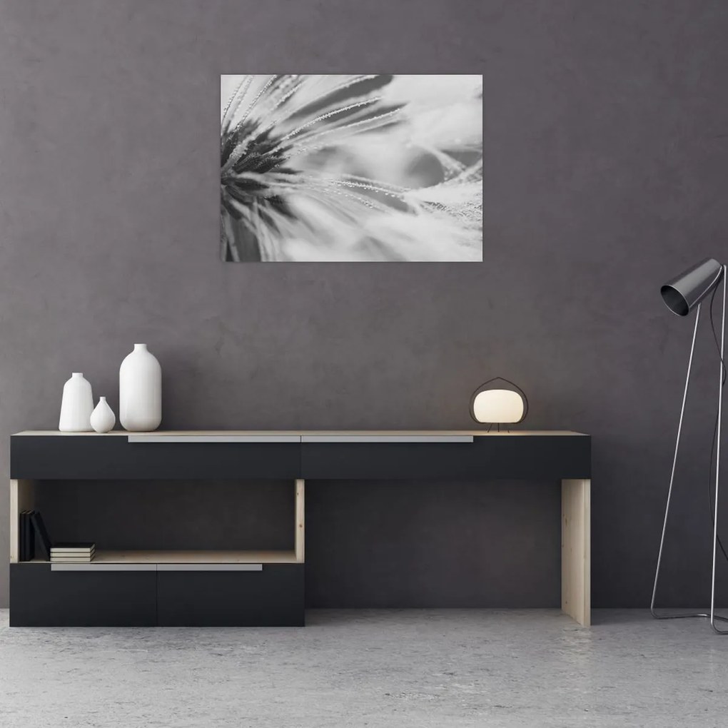 Tablou pe sticlă - Păpădie (70x50 cm)
