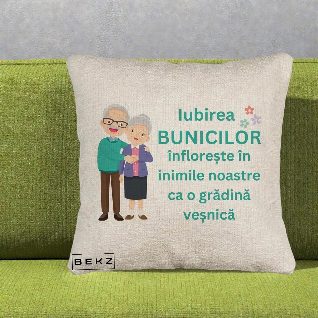 Cadou pentru Bunici - Perna Personalizata Bunicii Iubirea Infloreste Cuplu Senior Teal, 40x40 cm, Bej Canapea, Husa Detasabila, Perna Inclusa, BEKZ®