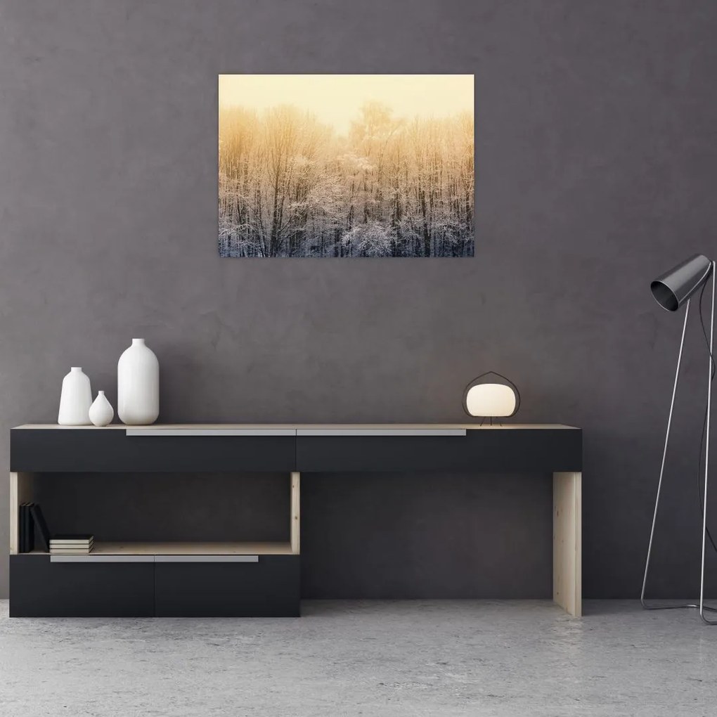 Tablou pe sticlă cu pădure geroasă (70x50 cm)