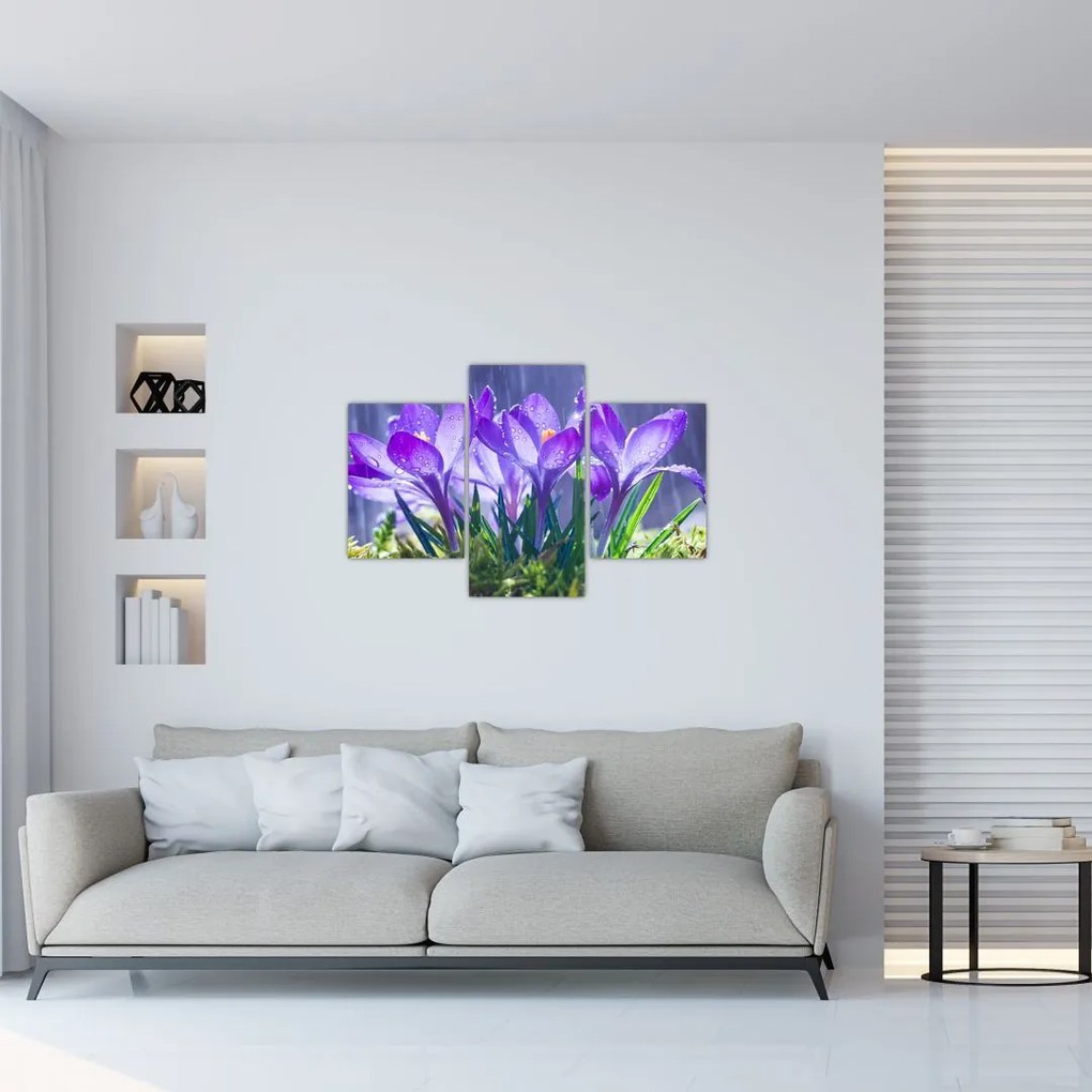 Tablou cuflori în ploaie (90x60 cm)