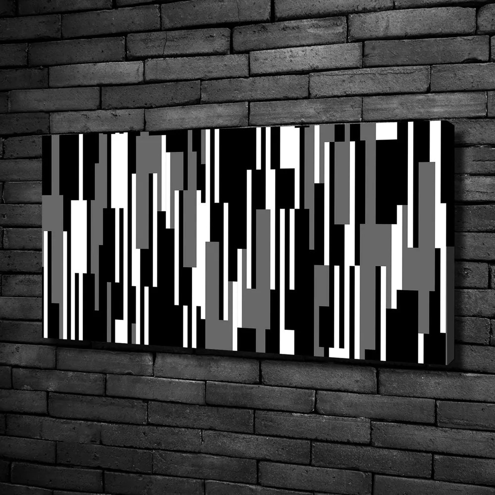 Tablou pe pânză canvas Linii negre și albe