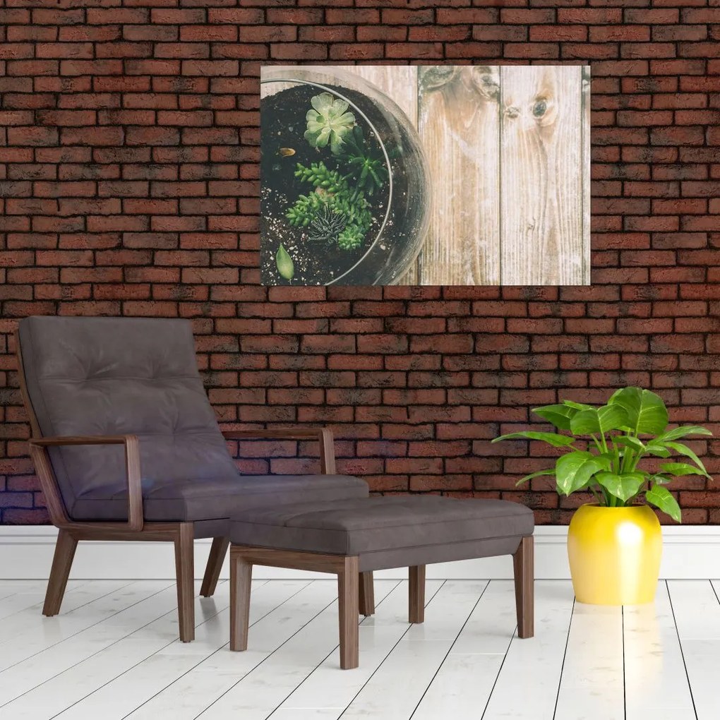 Tablou - Terariu de sticlă (90x60 cm)