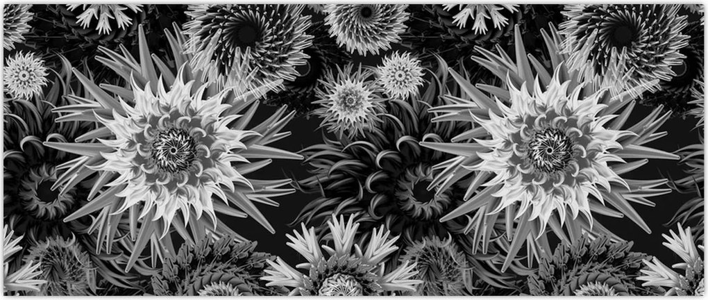 Tablou - Ciulini negri și albi (120x50 cm)