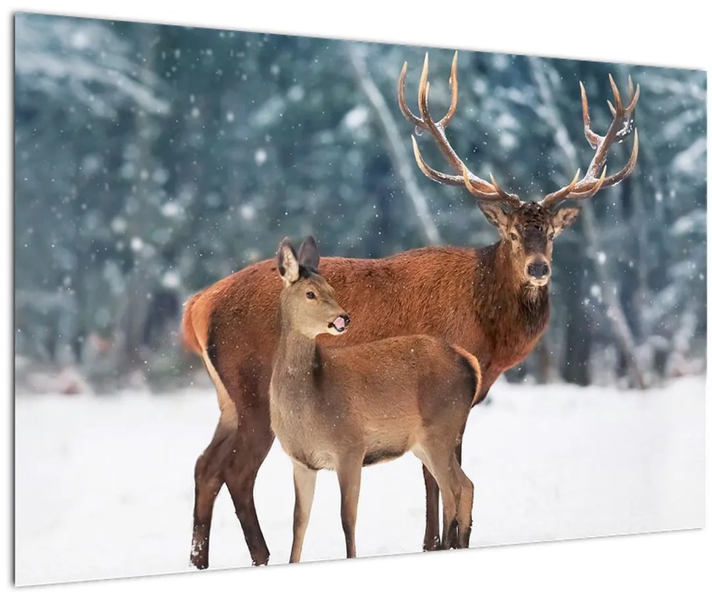 Tablou - Ceb și căprioare (90x60 cm)
