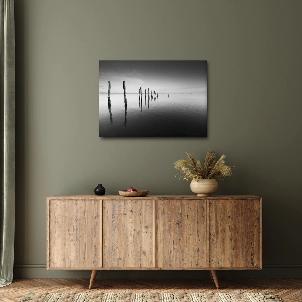 Tablou cu nivelul de lac alb negru (70x50 cm)