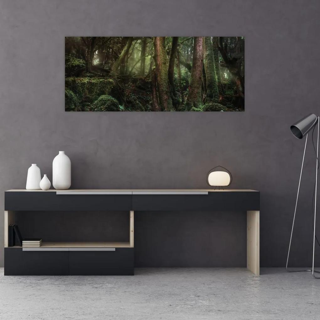Tablou - Pădurea enigmatică (120x50 cm), în 40 de alte dimensiuni noi
