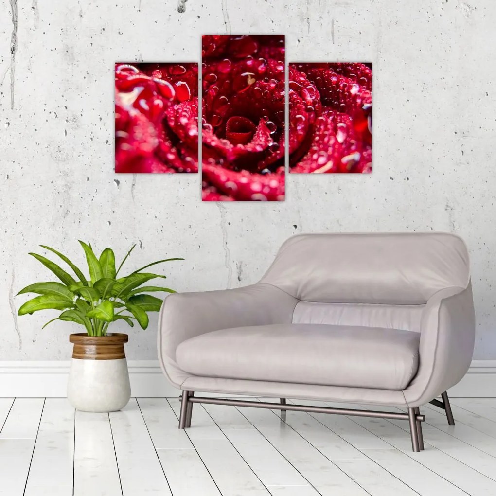 Tablou cu floarea trandafirului roșu (90x60 cm)