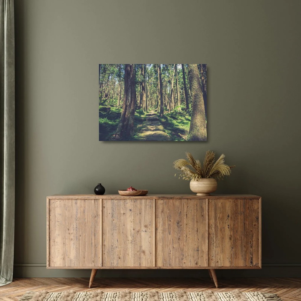 Tablou pe sticlă cu drum între copaci (70x50 cm)