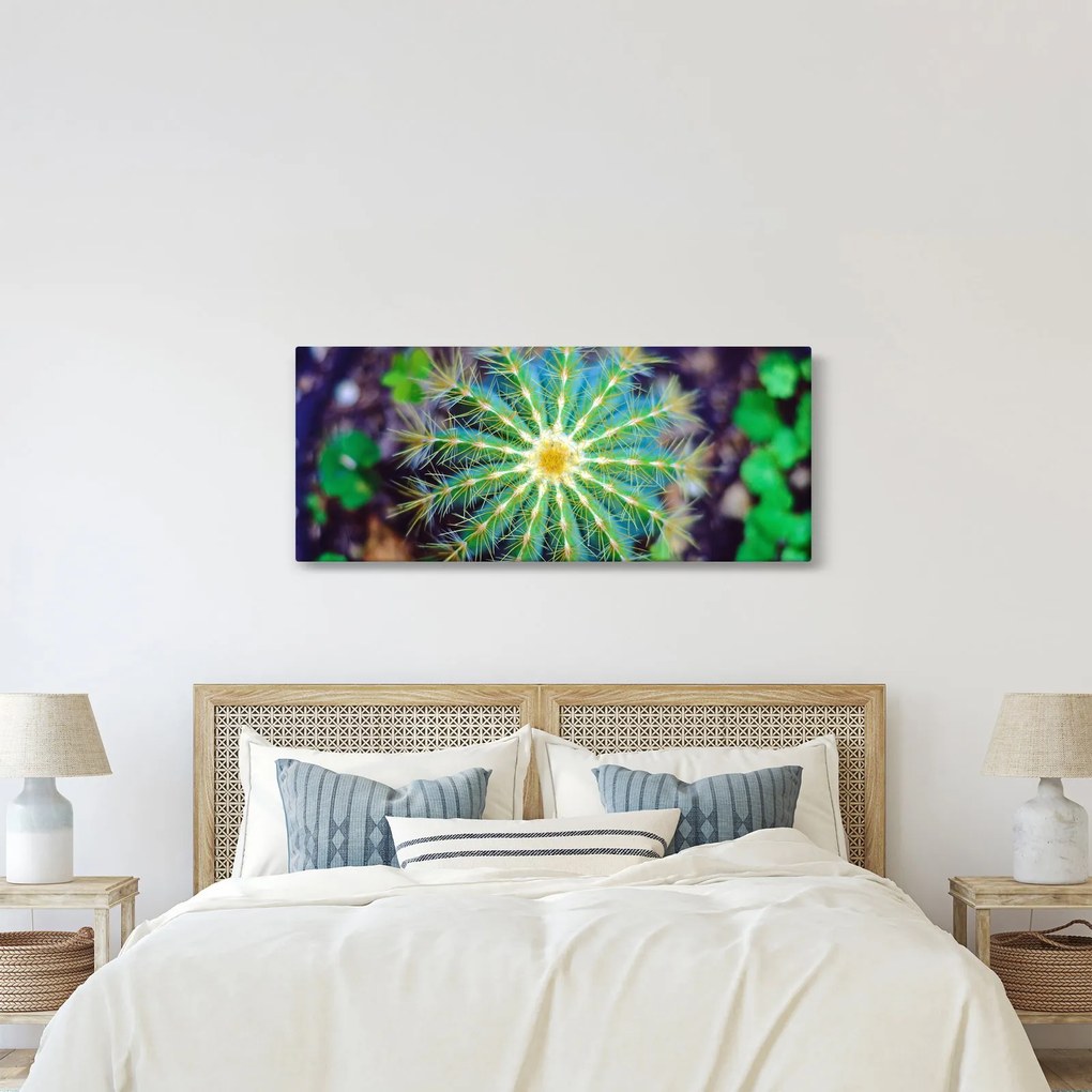 Tablou cu cactus (120x50 cm)