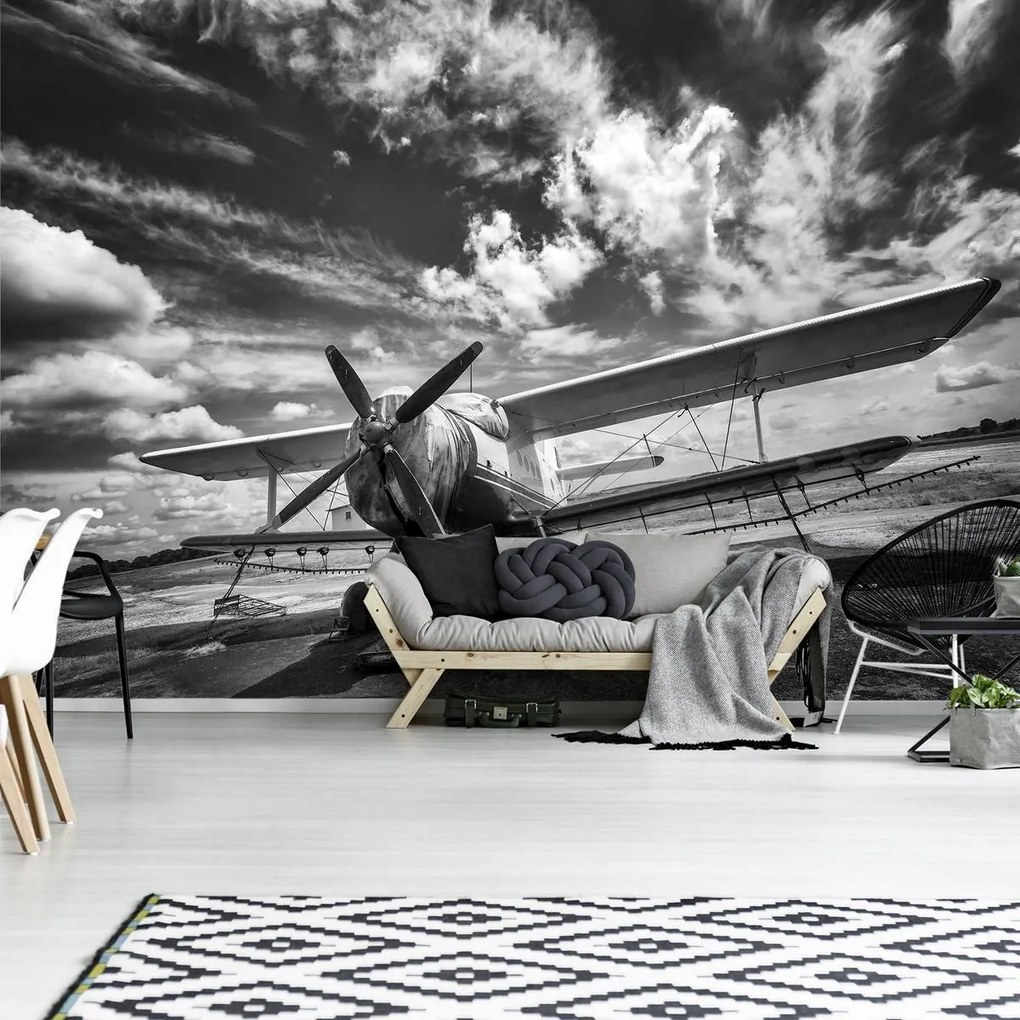 Fototapet - Avion (152,5x104 cm)