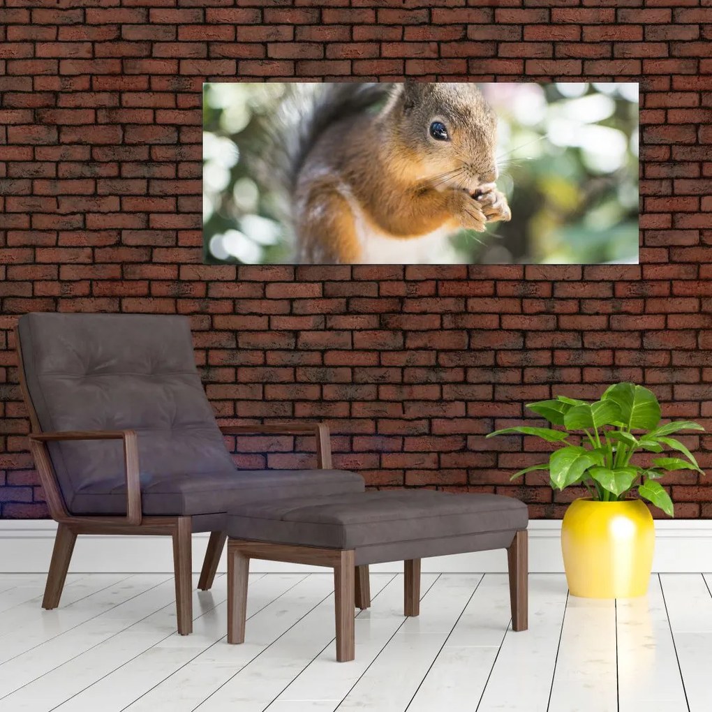 Tablou cu veverița (120x50 cm)
