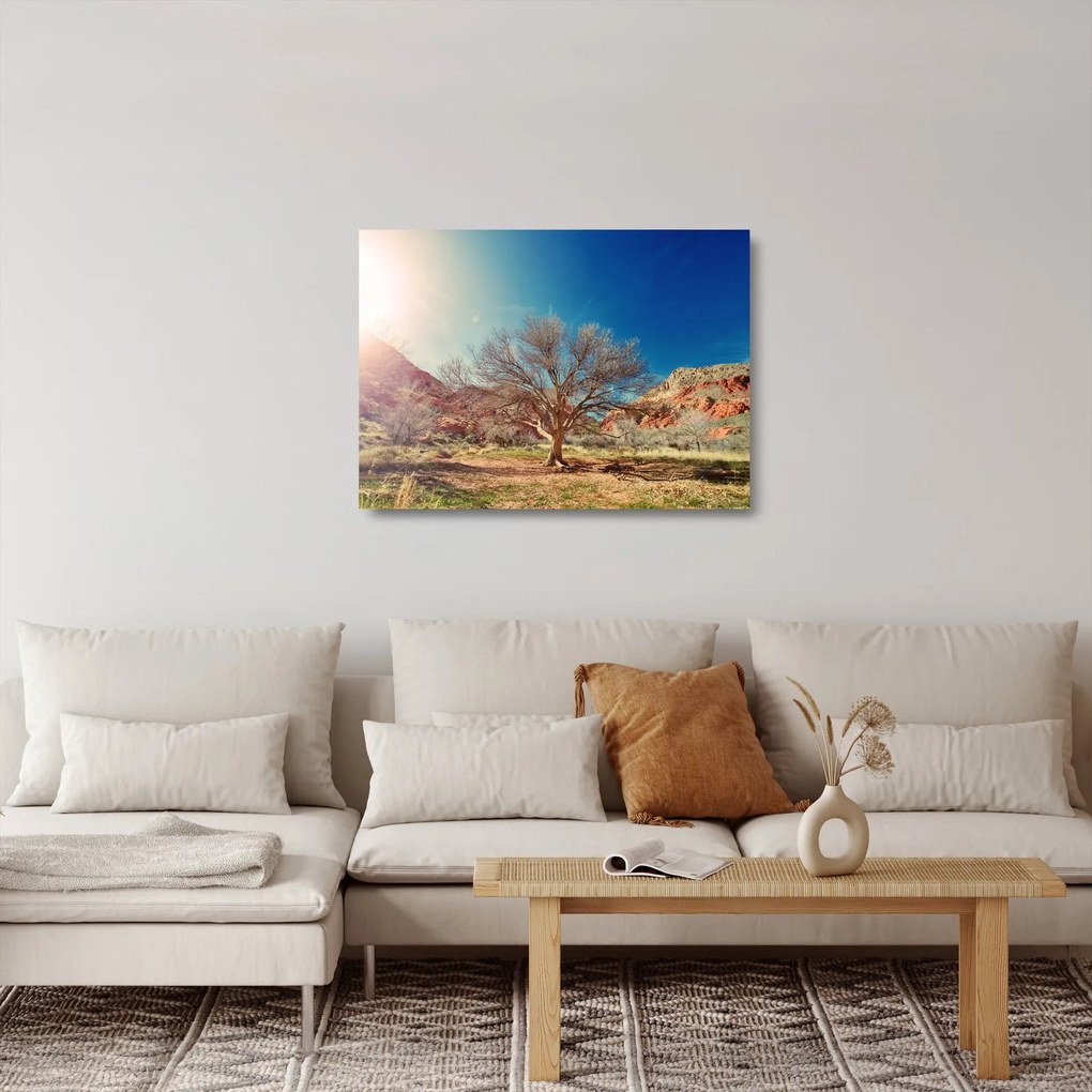 Tablou pe sticlă cu cu copac în deșert (70x50 cm)