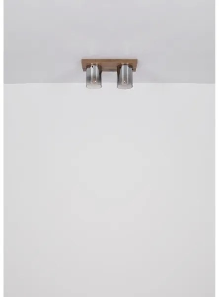 Globo 15915-2 - Plafonieră UNDERWOOD 2xE27/40W/230V