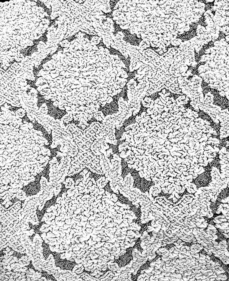 Husa elastica pentru coltar, cu volanas, model Jacquard Alb
