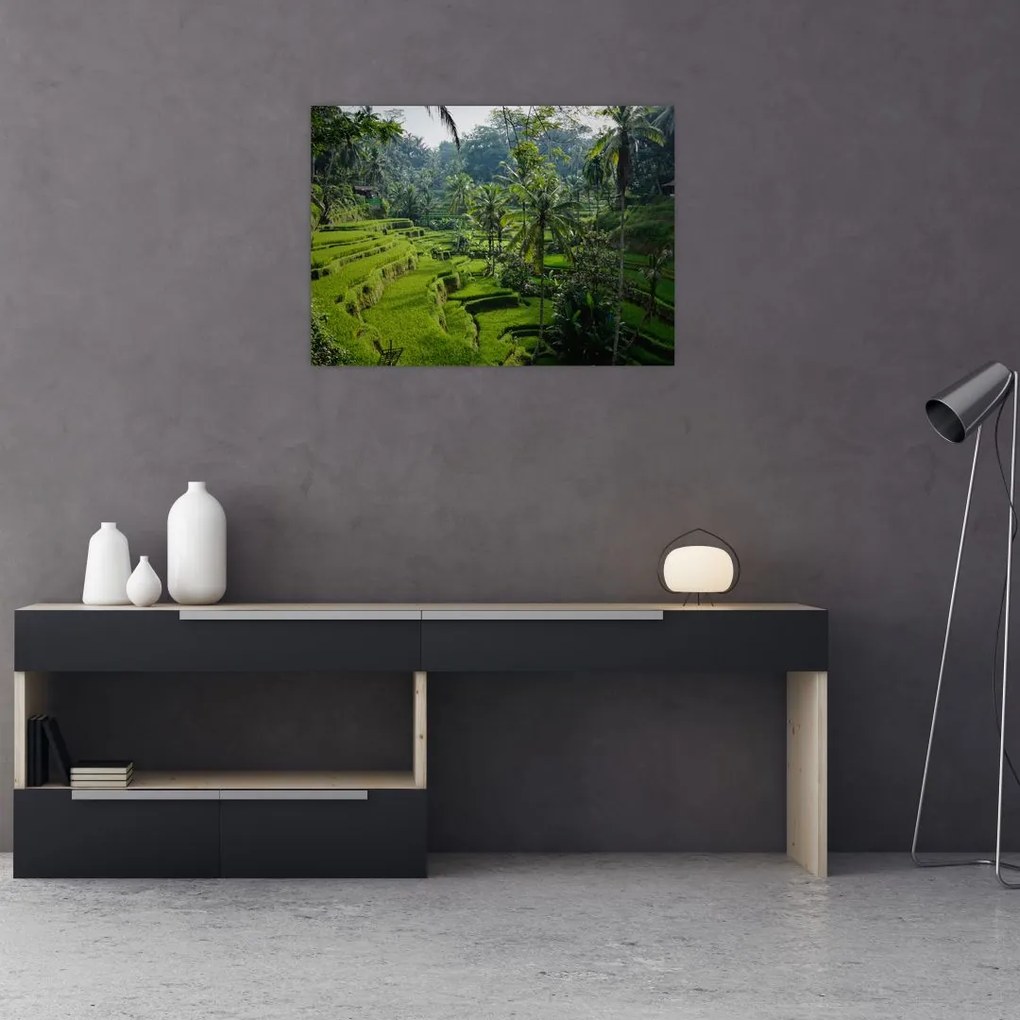 Tablou cu terasele cu orez Tegalalang, Bali (70x50 cm)