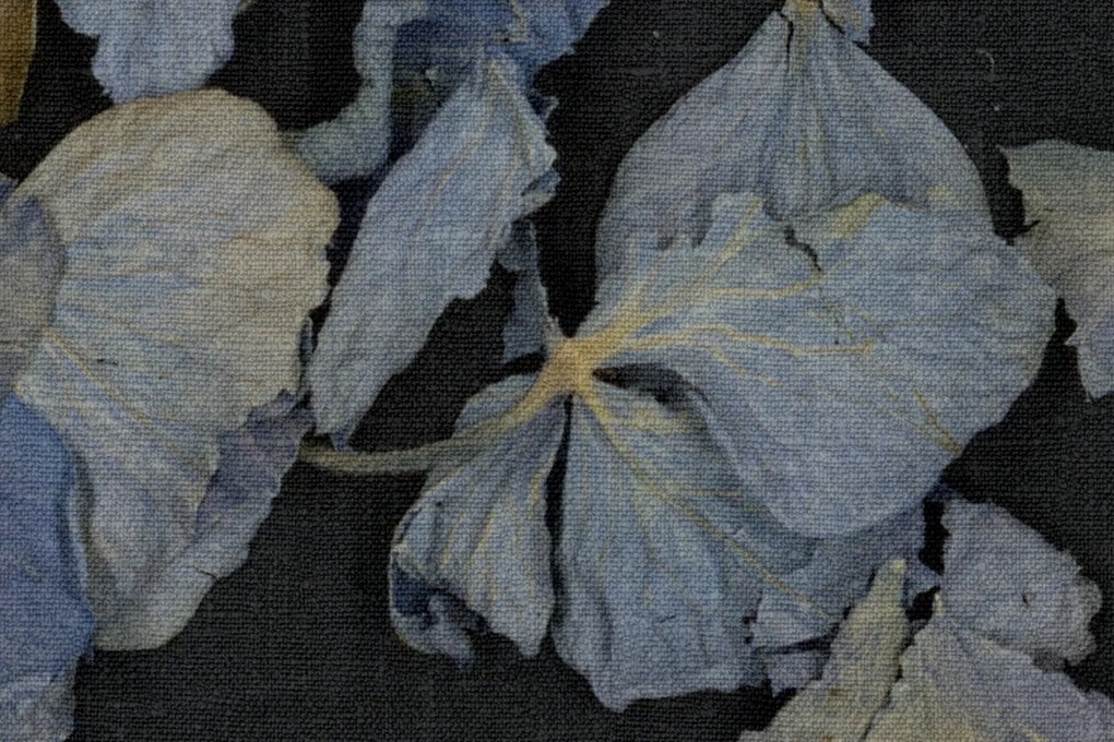 Fototapet, Fragile Beauty, Dark Blue, Rebel Walls