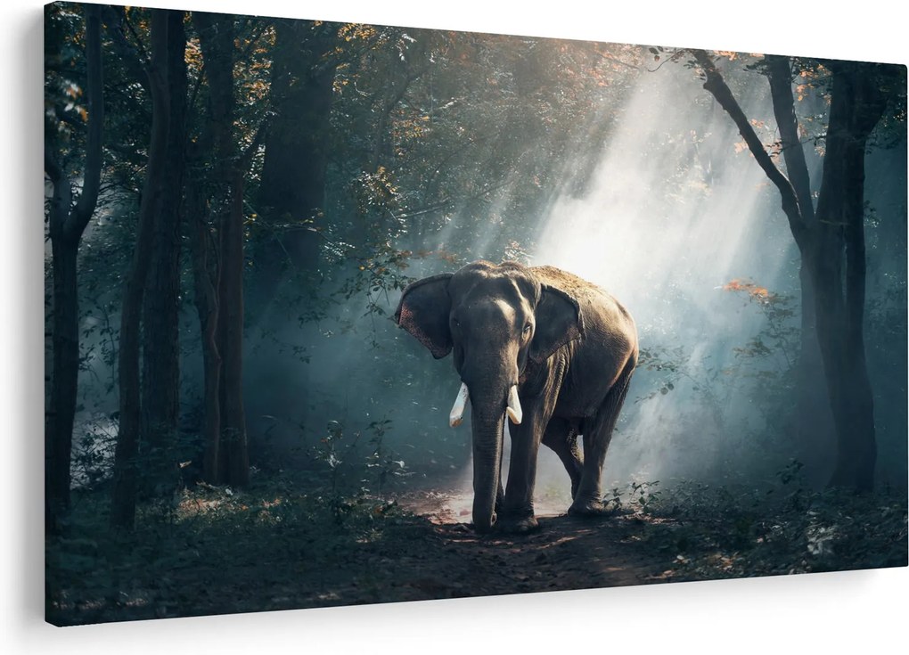 Tablou cu elefant în djunglă (90x60 cm)