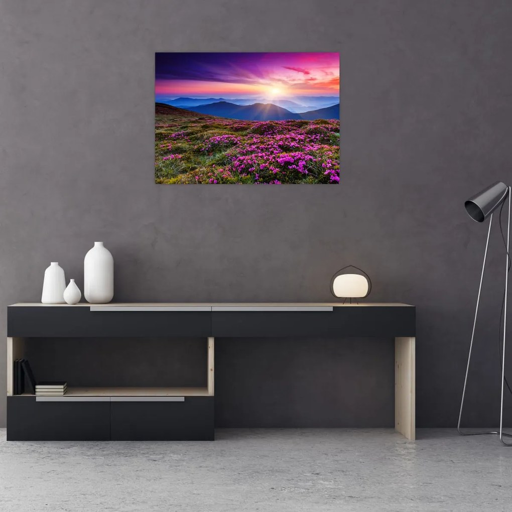 Tablou - Munte înflorit peisaj (70x50 cm)