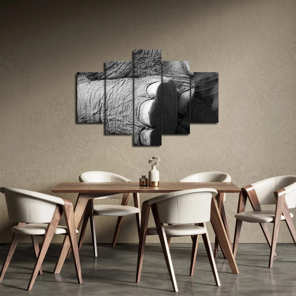 Tablou - Picior de elefant (150x105 cm)