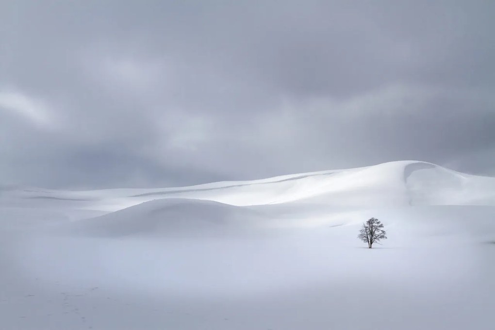 Tapet Snowy Hills, Rebel Walls