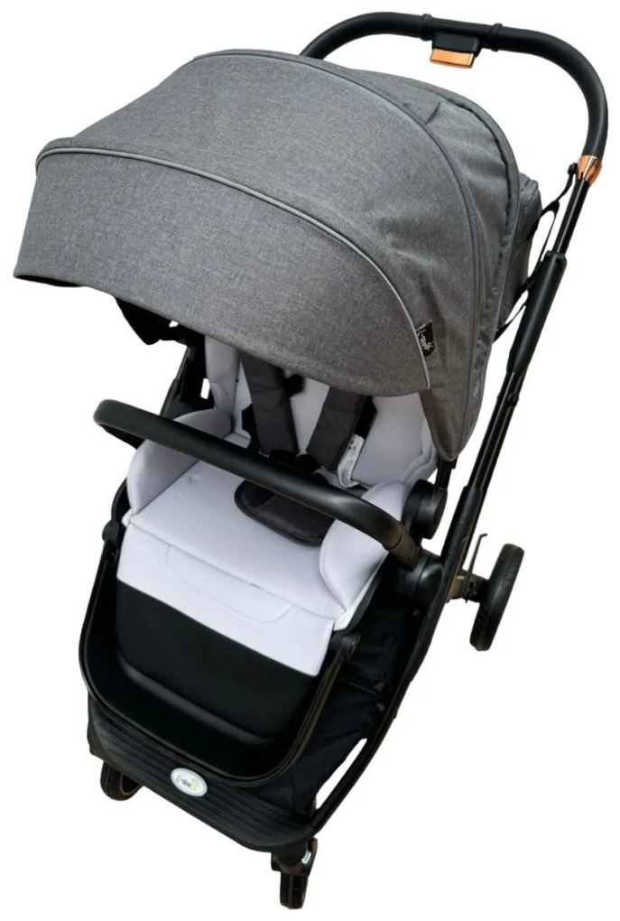 Carucior 2 in 1 pentru copii Usor si Compact - Pliabil, Sistem de absorbtie a socurilor, Scaun Reversibil - Gri - CPC-58-gri