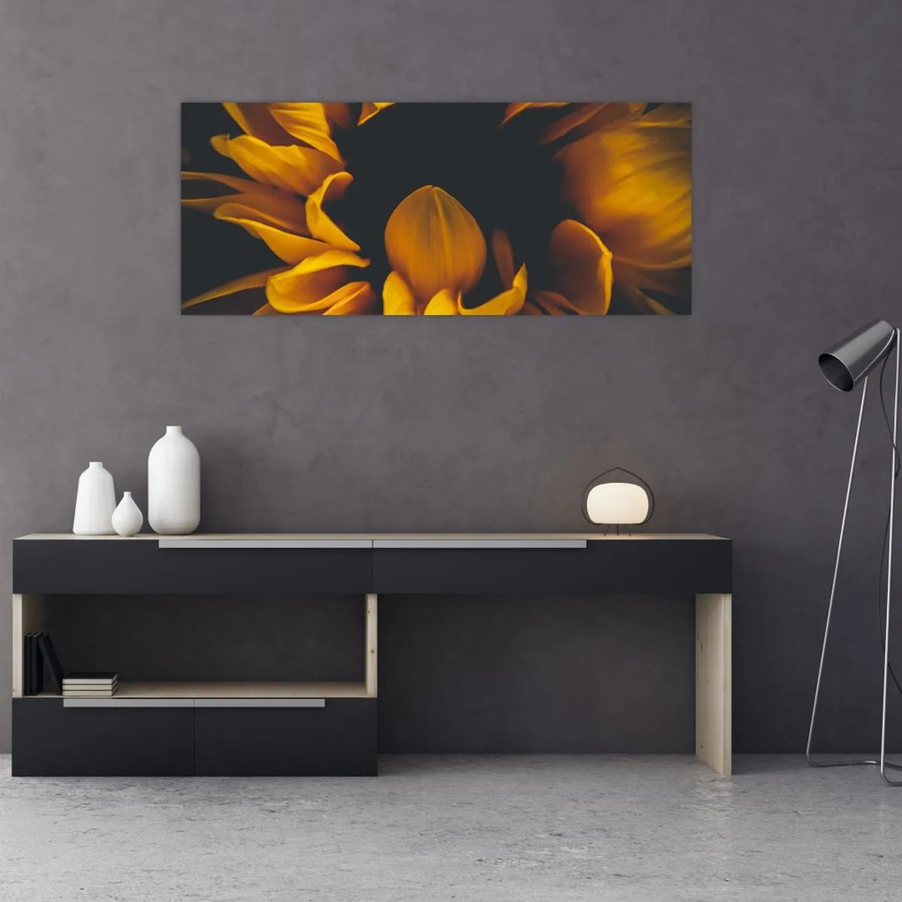 Tablou - Floarea-soarelui în fundal negru (120x50 cm)