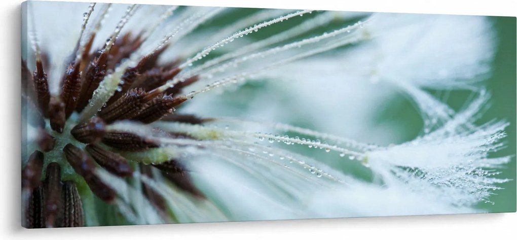 Tablou - Detaliu floare (120x50 cm)