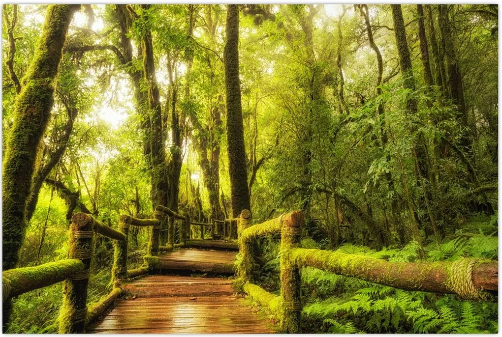 Tablou junglei cu mușchi (90x60 cm)