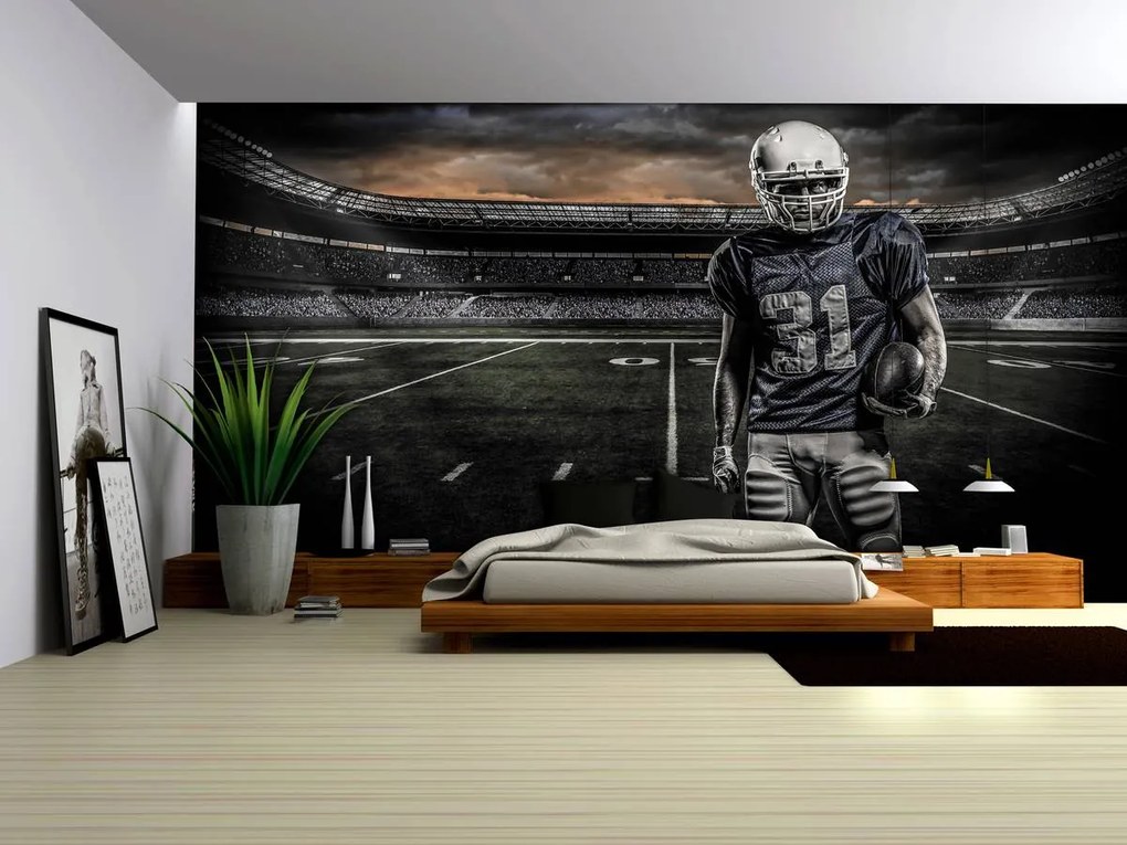 Fototapet - Stadion de Rugby (152,5x104 cm)
