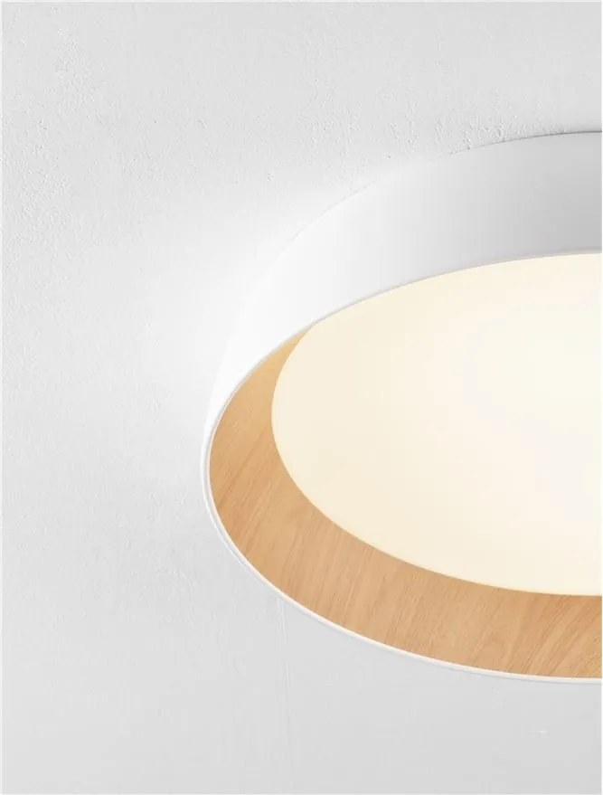 Plafoniera LED design modern SIGI D-60cm