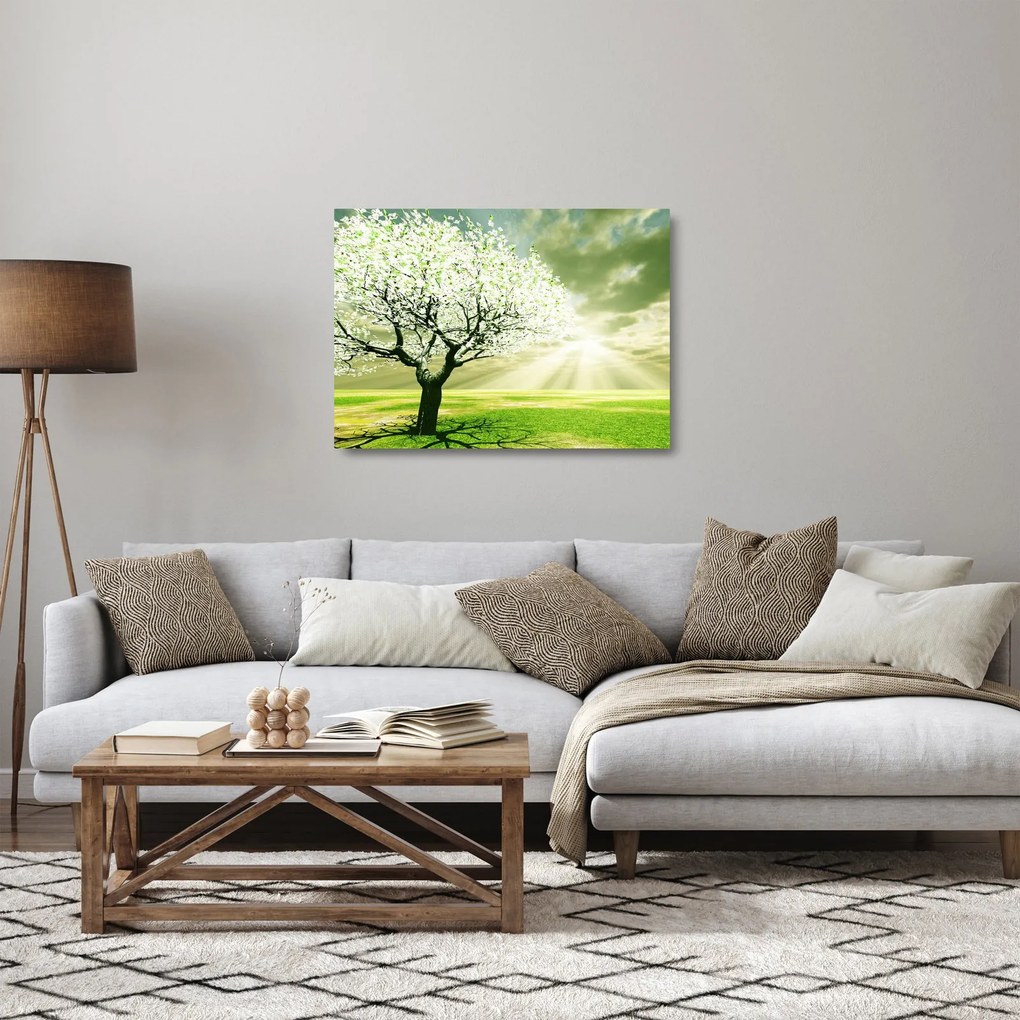 Tablou pe sticlă cu pomul înflorit (70x50 cm)