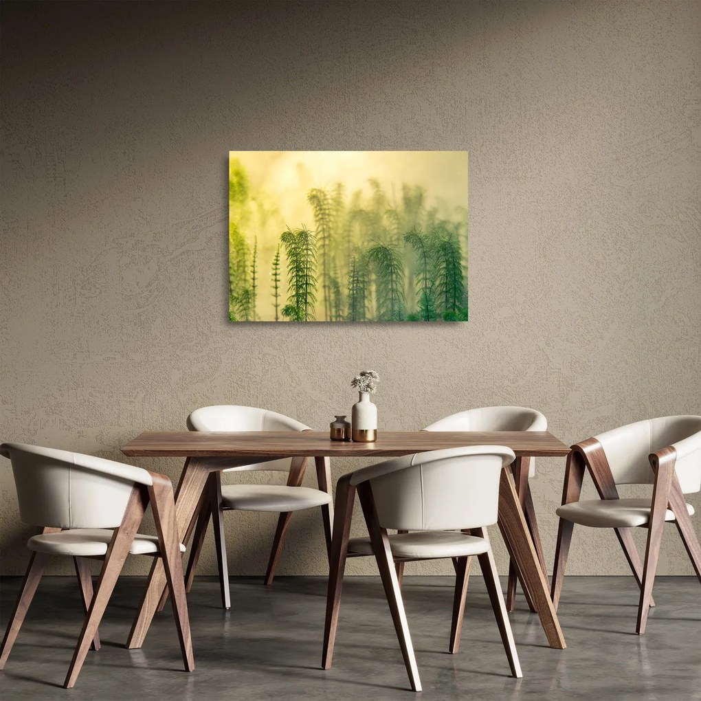 Tablou pe sticlă - Detaliu de primăvară natura cețoasă (70x50 cm)