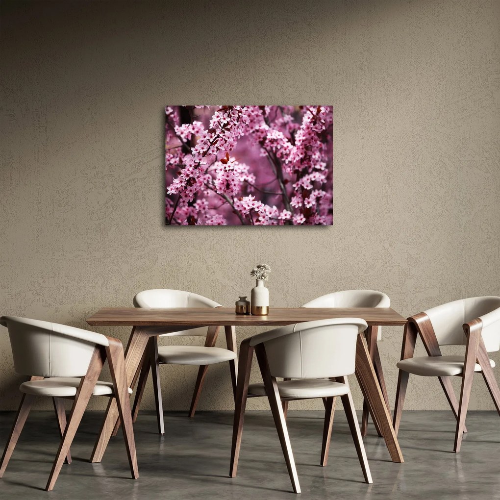 Tablou - Sakura roz (70x50 cm)