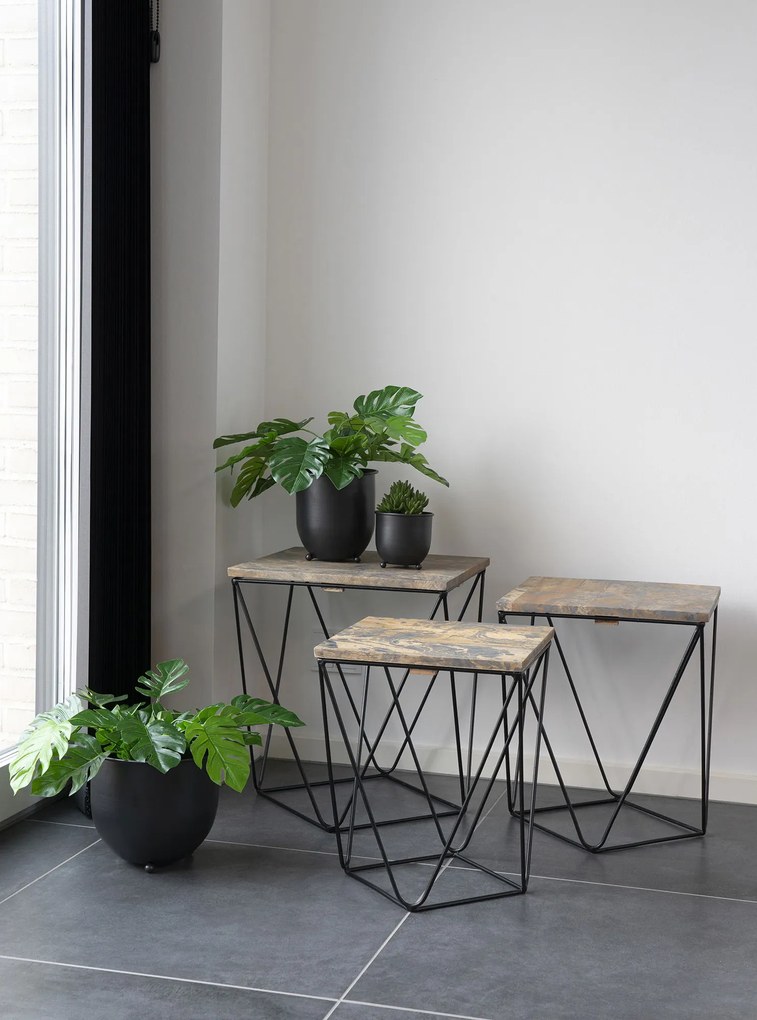 Monstera Minselia 2 (verde). Promo -10%. 1147174