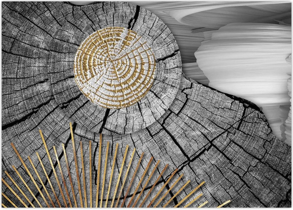 Tablou - Trunchiul copacului colaj (70x50 cm)