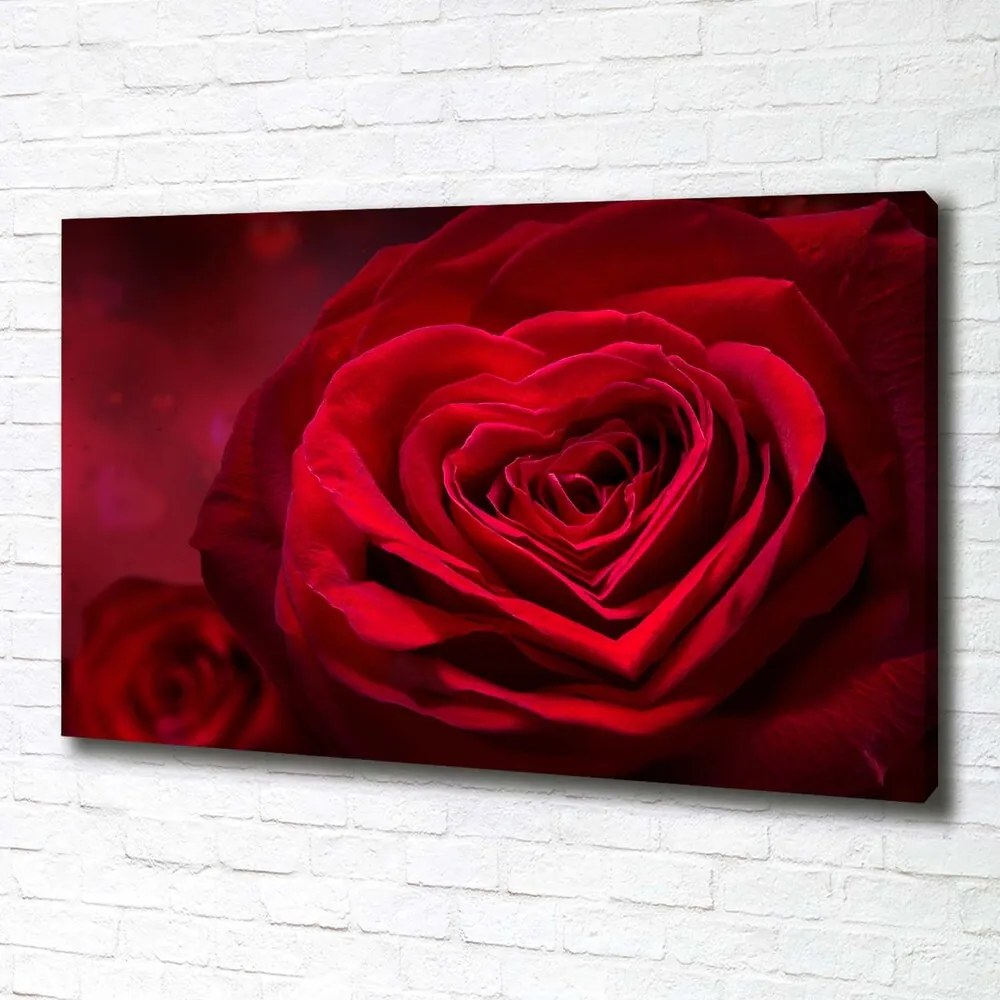 Tablou pe pânză canvas Inima trandafir rosu