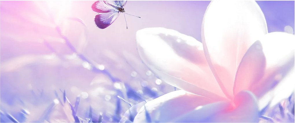 Tablou - Fluture lângă floare (120x50 cm)