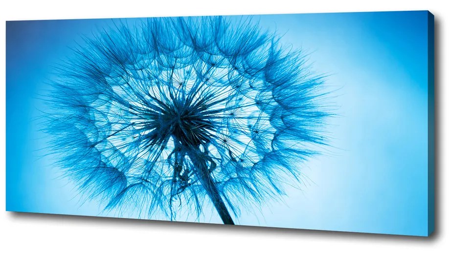Print pe canvas Păpădie