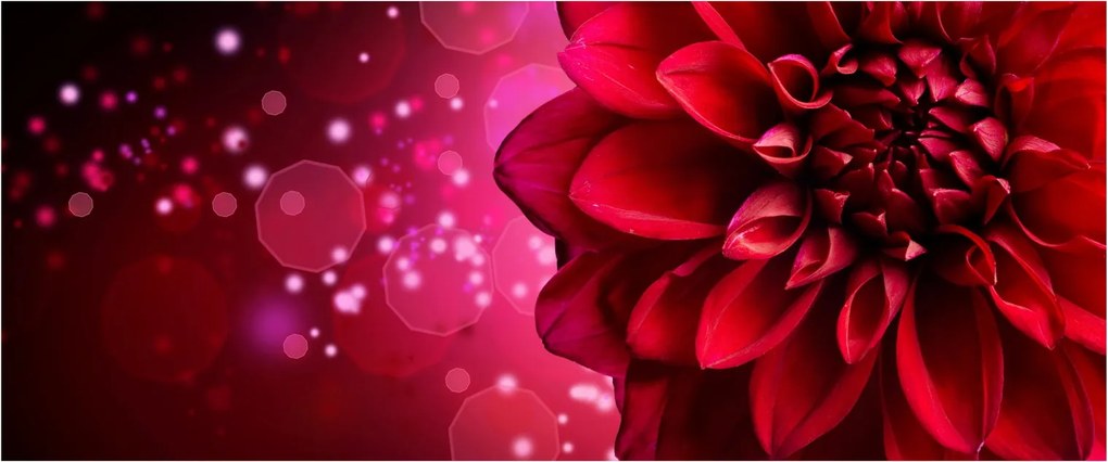 Tablou cu floare roșie (120x50 cm)