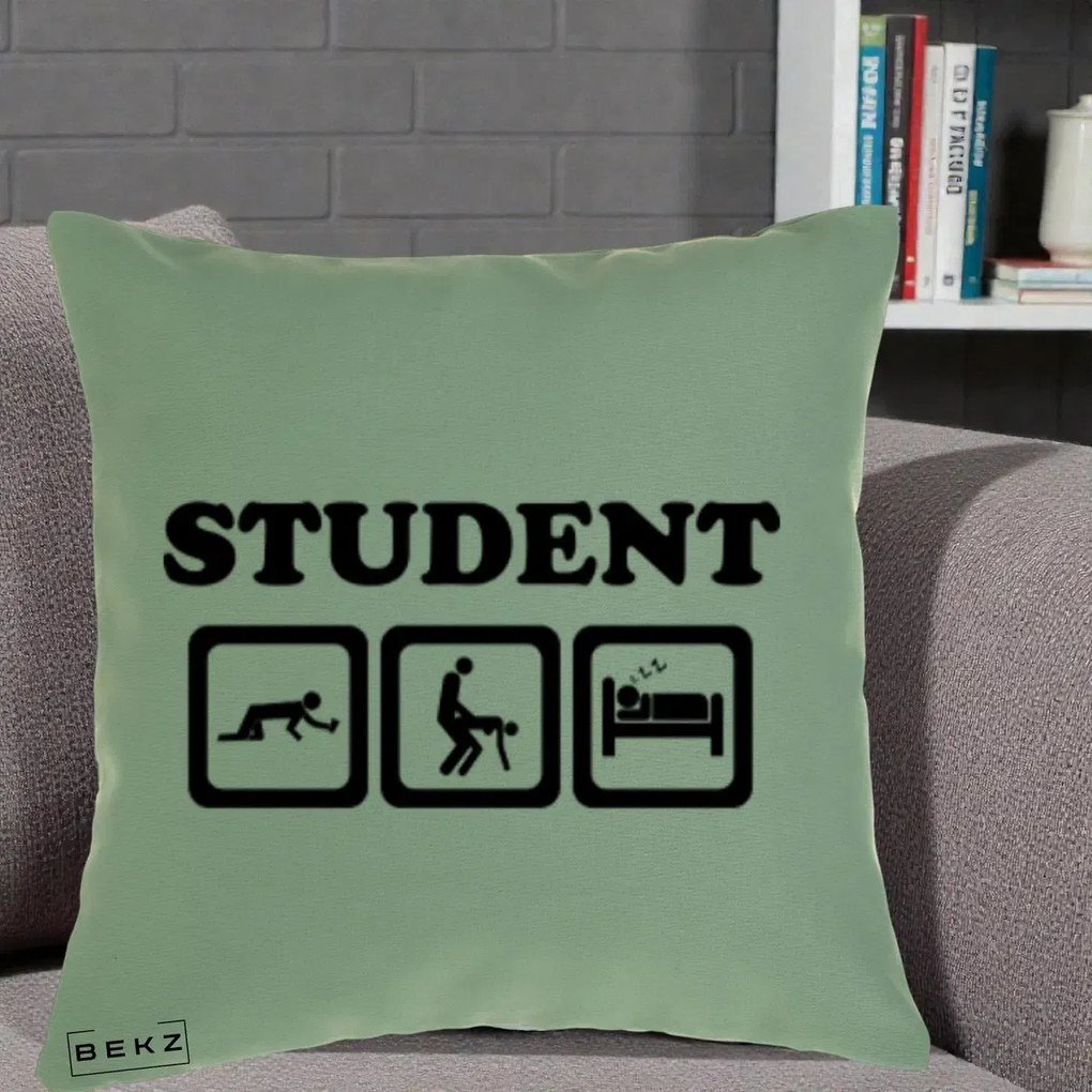 Perna Decorativa Student Life, 40x40 cm, Verde, Husa Detasabila, Perna Inclusa, BEKZ®