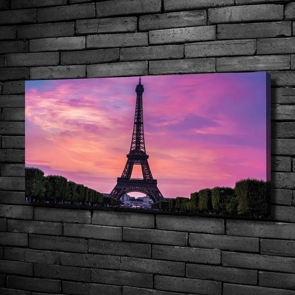 Tablou pe pânză Turnul eiffel din paris