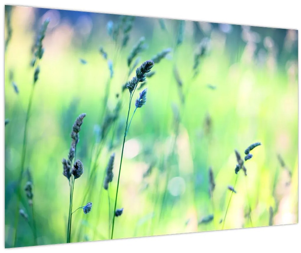 Tablou - Detaliu pajiște (90x60 cm)