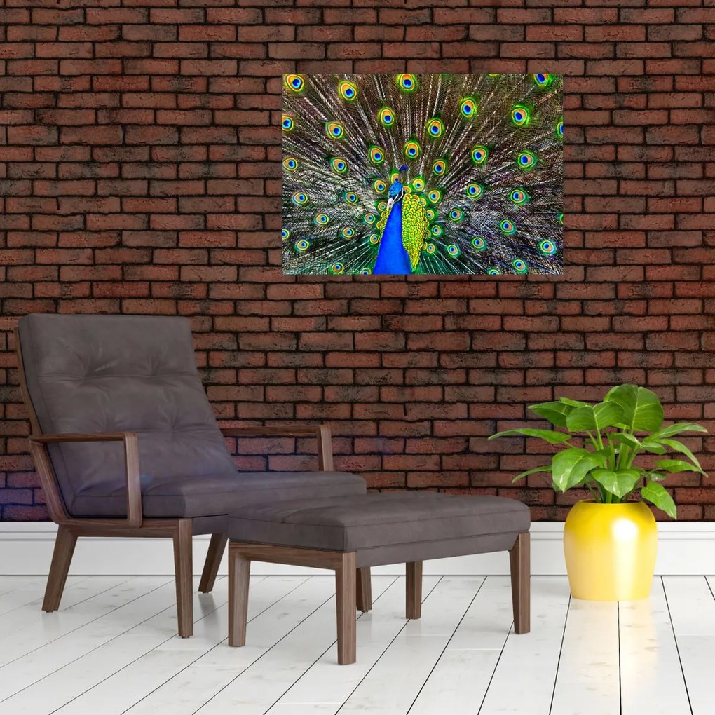 Tablou - Păun (70x50 cm)