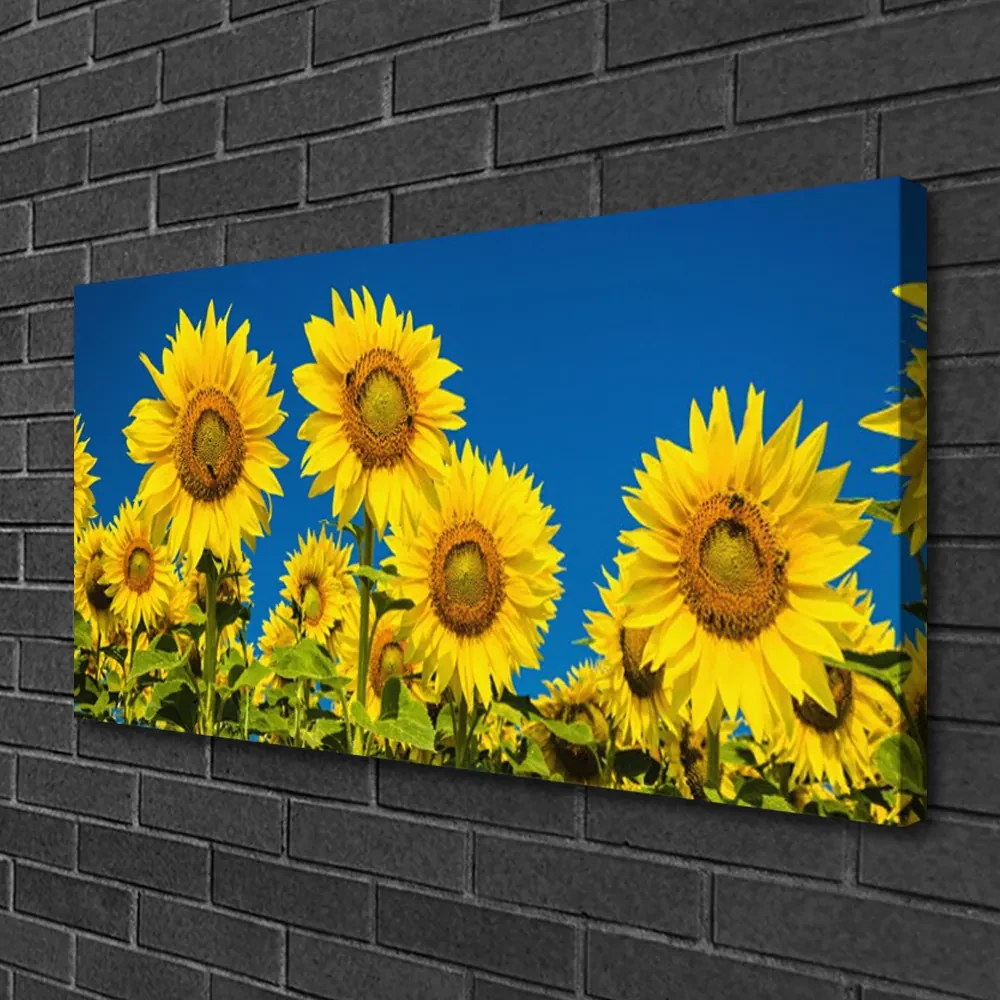Tablou pe panza canvas Floarea soarelui Floral Galben Verde