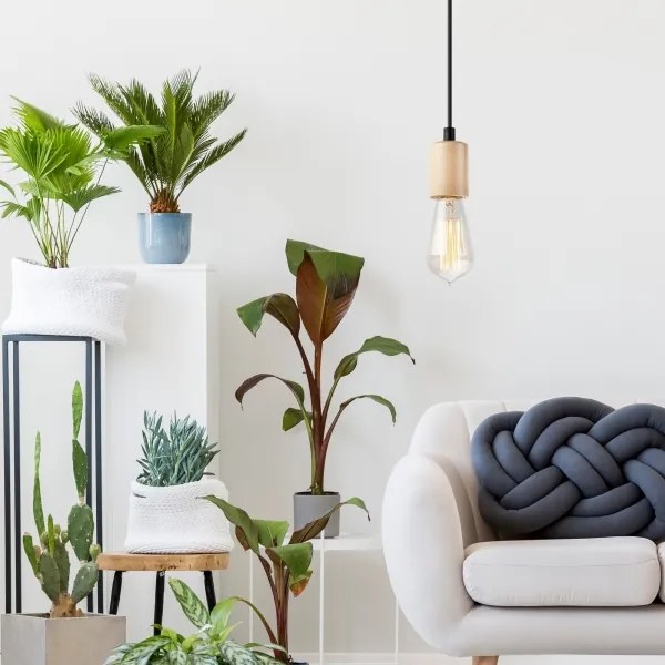 Candelabru pe cablu LEON 1xE27/60W/230V